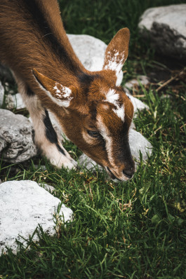 2R-Film- und Contentproduktion