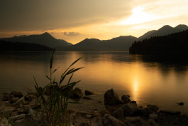  2R-Film- und Contentproduktion